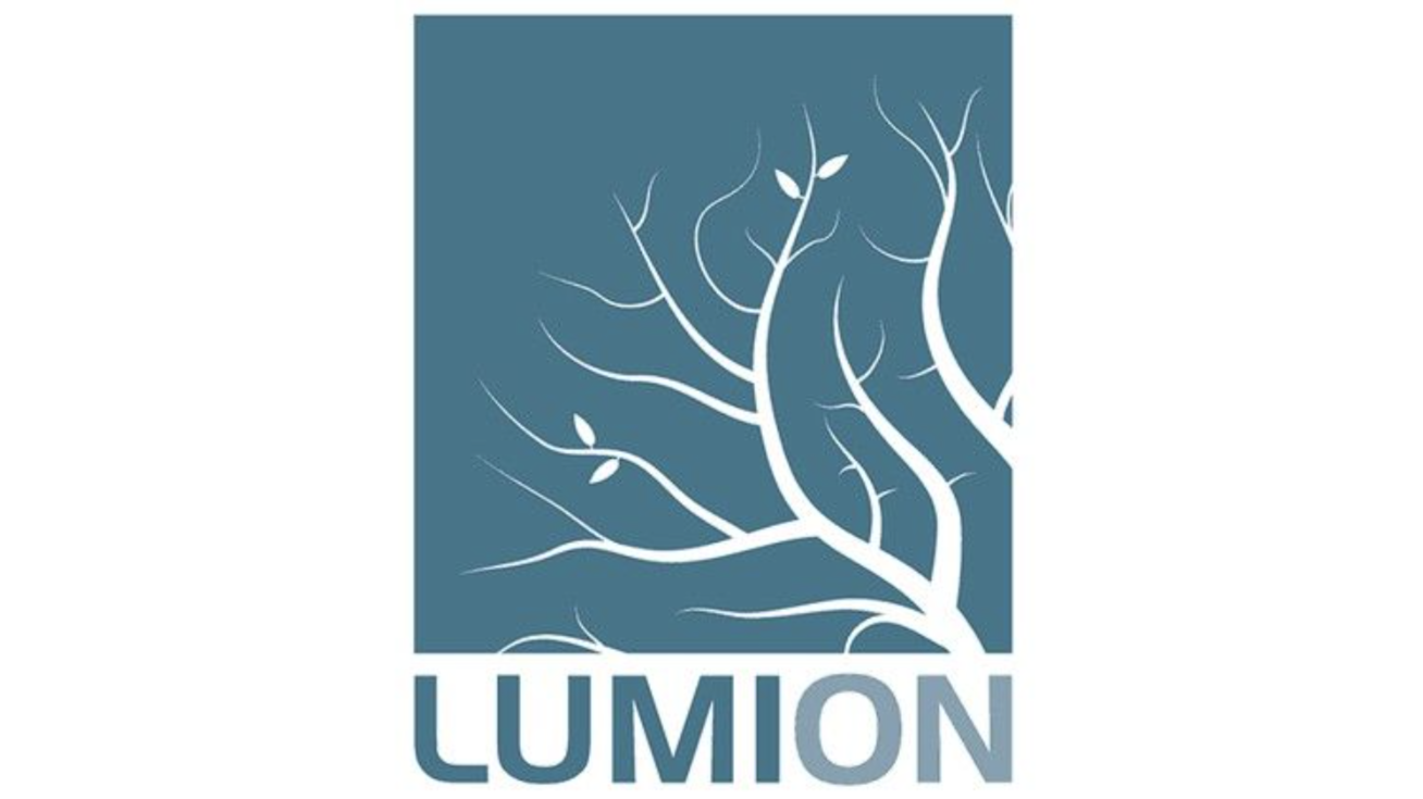 Udemy - Lumion 12.5 pro入门学习