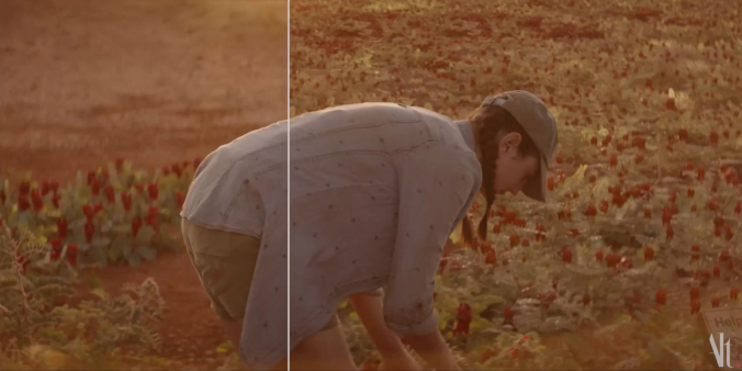 Alt.VFX制作的《爱丽丝·哈特的失落之花(The Lost Flowers of Alice Hart)》-视效解析